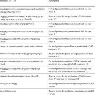 PCR Primers Used for Bacterial Expression System. All Primers were... | Download Table