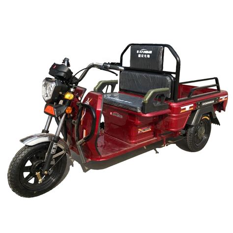 48V 20Ah Electric Tricycle With Passenger Seat