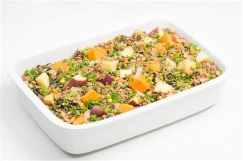 Savoury vegetables and mince | Healthy Kids