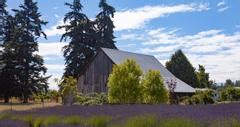 Things to Do in Sequim, Washington