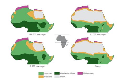 The Sahara Desert used to be a green savannah – new research explains why