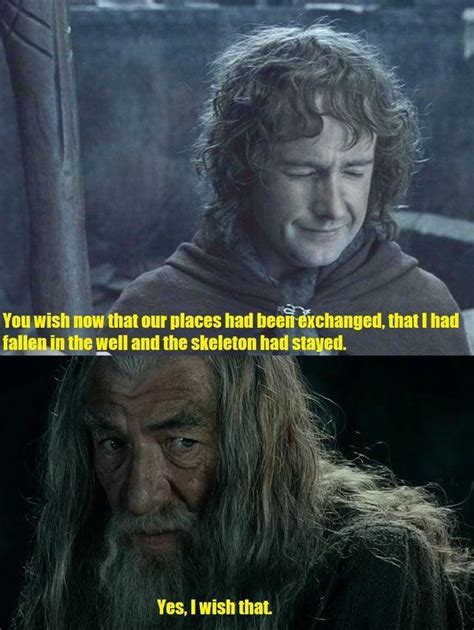 Fool of a Took | Lord Of The Rings | Know Your Meme