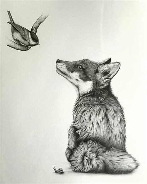 Detailed Black and White Wildlife Drawings | Animal illustration art, Fox illustration, Animal ...