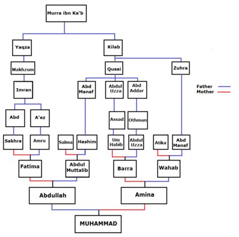 Wahb ibn Abd Manaf - Wikipedia