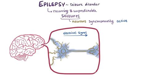 Epilepsy: Video, Anatomy, Definition & Function | Osmosis