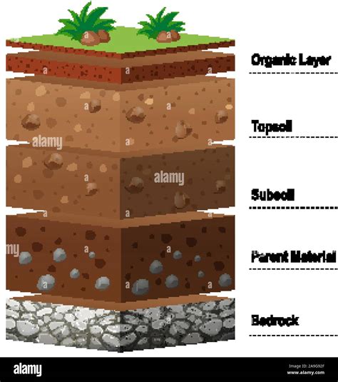 Different layers of soil on earth illustration Stock Vector Image & Art ...