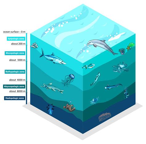 Water Column Exploration Gets An Upgrade: 2021 EM 304 Sea Acceptance Testing and Mapping ...