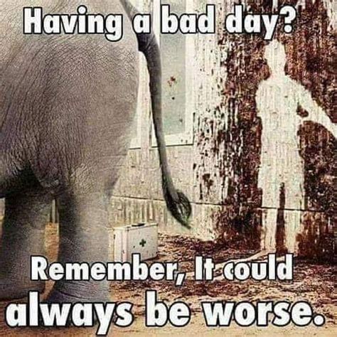 things could always be worse - Having a bad day? Remember, It could ...