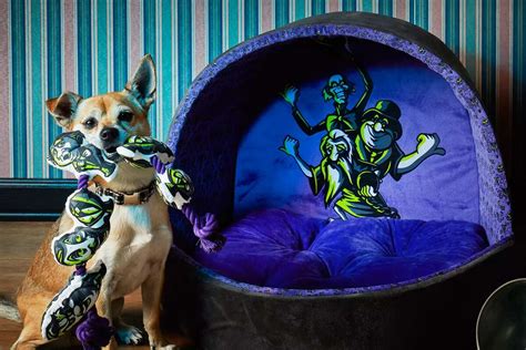 A Doom Buggy pet bed is part of Disney's 2022 Halloween collection