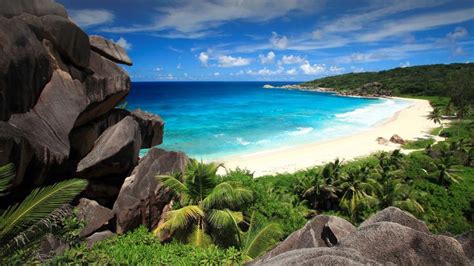 the beach is surrounded by rocks and palm trees, as well as an ocean view