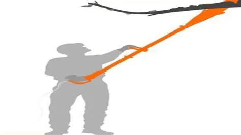 What Is The Longest Electric Pole Saw You Can Buy? Top Picks For Extended Reach In Tree Trimming ...