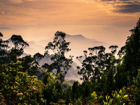 Kodaikanal (Kodai) travel | Tamil Nadu, India - Lonely Planet