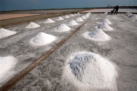 Row of salt pile. editorial stock image. Image of solar - 51158939