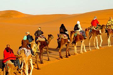 Day trips from marrakech - Explore the red city - Morocco Desert Trips ...