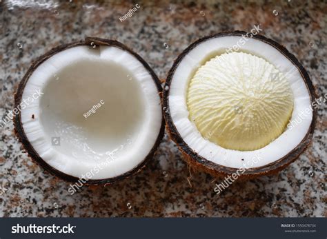 Coconut seed Images, Stock Photos & Vectors | Shutterstock