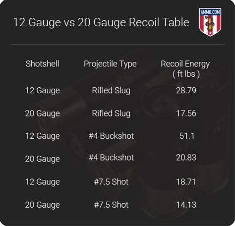 12 Gauge vs 20 Gauge: The Shotgun Shootout | ZeroHedge