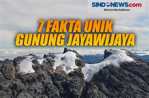 SINDOgrafis: 7 Fakta Unik Gunung Jayawijaya, Puncak Tertinggi di Indonesia