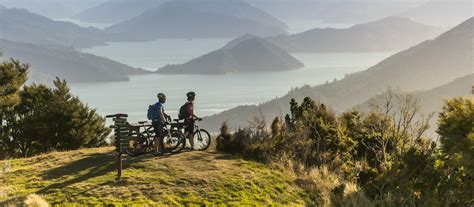 Top Experiences in Marlborough | Marlborough, New Zealand