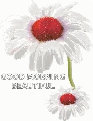 Good Morning Beautiful Sun GIF | GIFDB.com