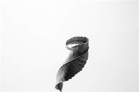 Minimalist nature photography – Keith Dotson Photography