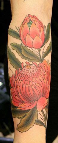 waratah (telopea) tattoo, open and in bud | Cover up tattoos, Pretty ...