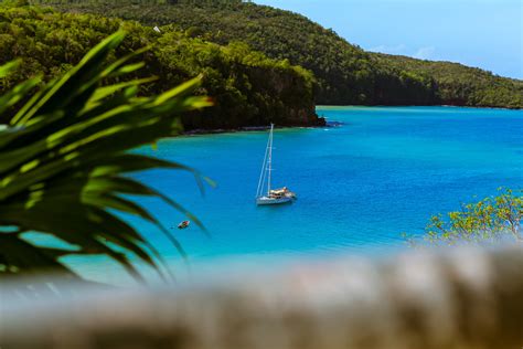 Free Images : beach, sea, water, grass, plant, boat, lake, green, swimming pool, tropical, yacht ...