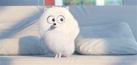 Secret Life of Pets Trailer Reveals Animal Shenanigans | Collider