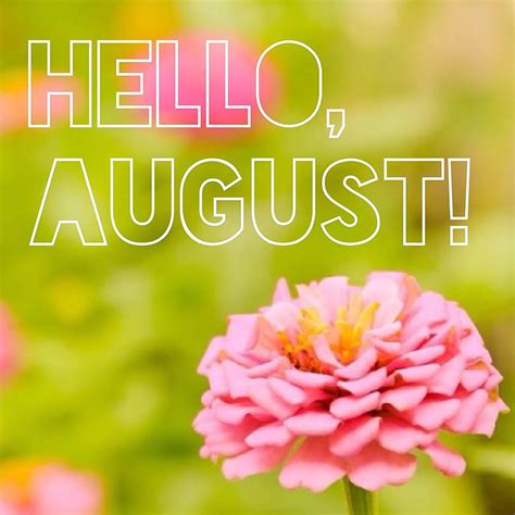 Hello August Quotes. QuotesGram HD phone wallpaper | Pxfuel