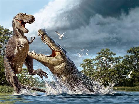 Deinosuchus Vs Sarcosuchus