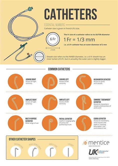 Understanding Sheaths and Catheters | Mentice Blog