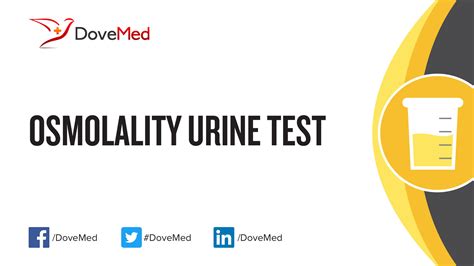 Osmolality Urine Test