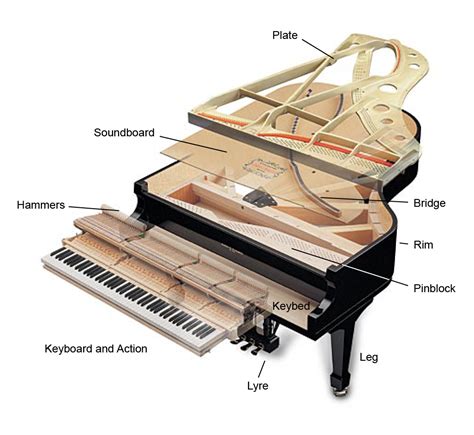 Piano Structure — Radford Piano Services