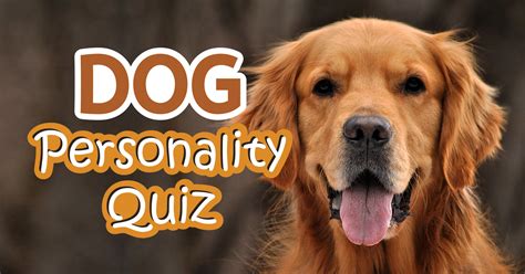 Dog Personality Quiz - Quiz