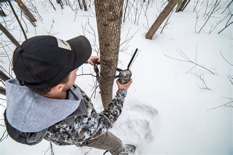 3 Benefits of Using a Cellular Trail Camera | WhitetailDNA