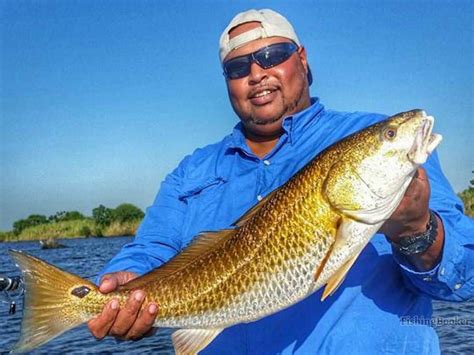 Best Redfish Fishing Spots in Louisiana (A Complete Guide) - Freshwater Fishing Advice