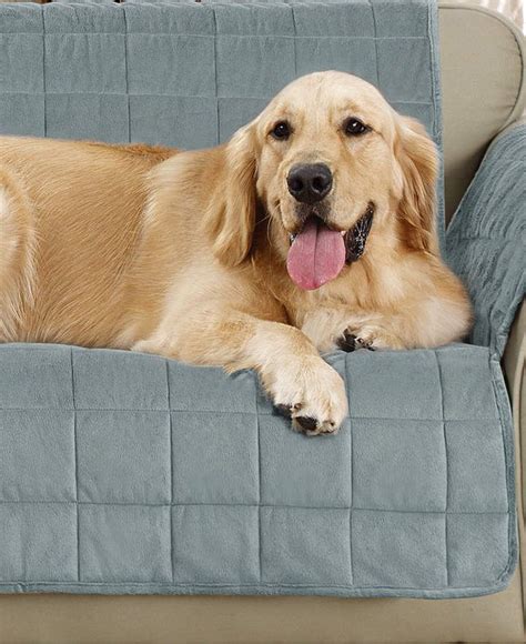 Sure Fit Velvet Deluxe Pet Loveseat Slipcover with Sanitize Odor Release Retriever Puppy, Dogs ...