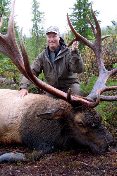 Vancouver Island Roosevelt Elk Hunts | North Vancouver Island Hunting ...