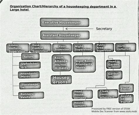 Housekeeping Department Hierarchy in small, medium, large and chain hotels - hmhub