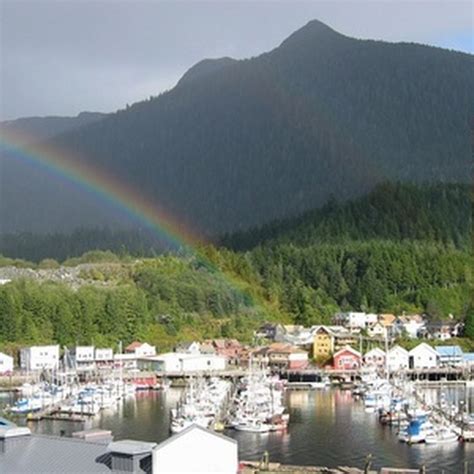 Ketchikan Zip Line Tours | USA Today