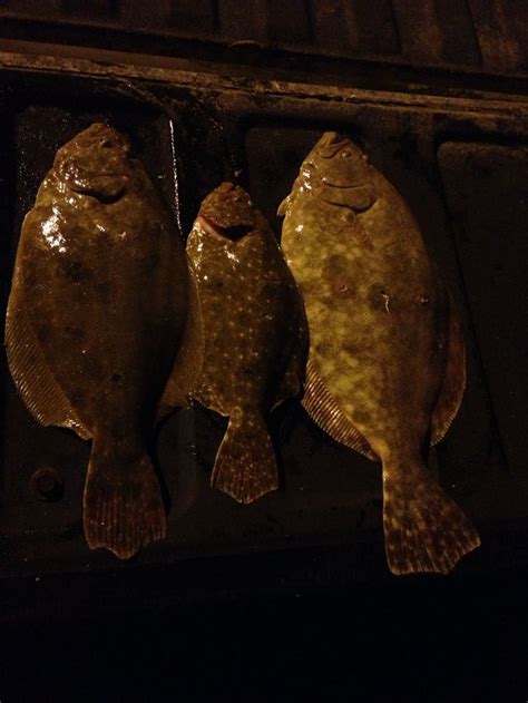 Pin by Gerald Muench on Flounder Gigging | Flounder, Gigs