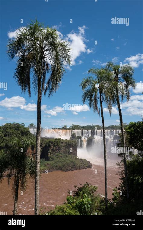 Iguazu Falls in Argentina Stock Photo - Alamy