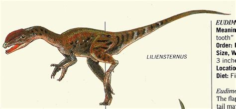 Liliensternus | Prehistoric animals, Prehistoric, Animals