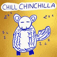 Chinchilla GIFs | Tenor