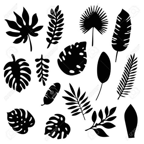 the silhouettes of different leaves and plants on a white background ...