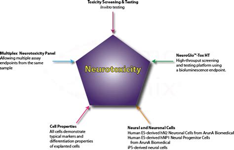 Neurotoxicity Contract Research Services performed at HemoGenix®