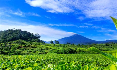 5 Rekomendasi Tempat Wisata di Solok Layak Dikunjungi