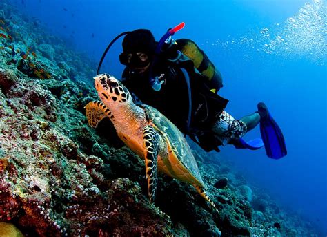 Maldivers Diving Center at Maalhos Island, Maldives Reviews, Photos ...