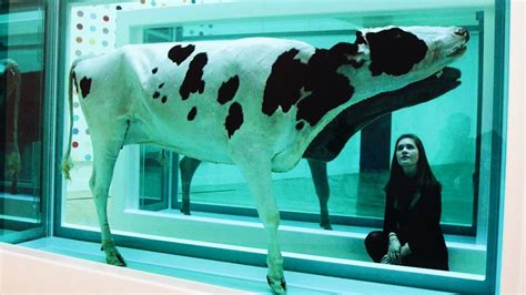 How Is A Rotting Cow's Head Art? An Introduction To Damien Hirst in 4 ...