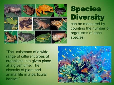 3B.1 Introduction to Biodiversity