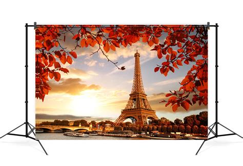 Eiffel Tower Maple Leaves Sunset Scenery Backdrop M6-43 – Dbackdrop